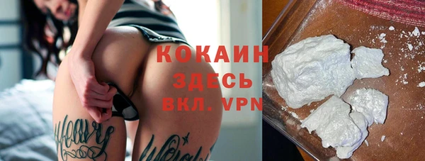 винт Алзамай