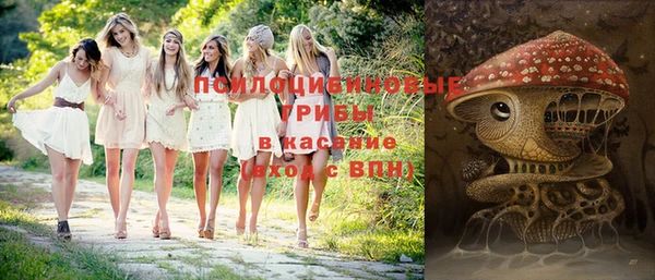 соль ск Алексеевка