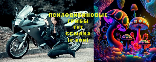 соль ск Алексеевка