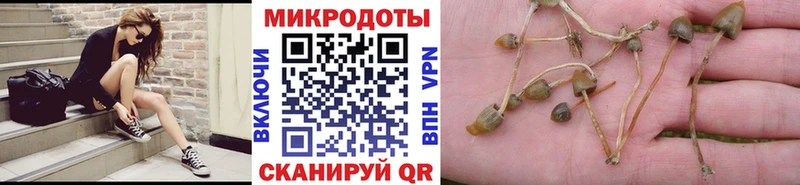 мориарти наркотические препараты  Арамиль  Галлюциногенные грибы MAGIC MUSHROOMS 
